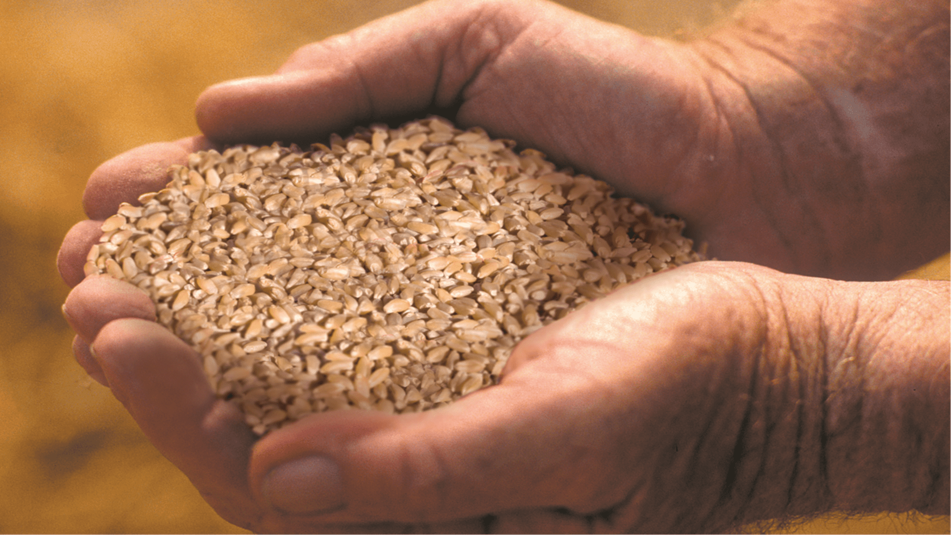 Comunicato De Cecco nave Sagittarius